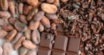 Cocoa Nibs - Imagen 3